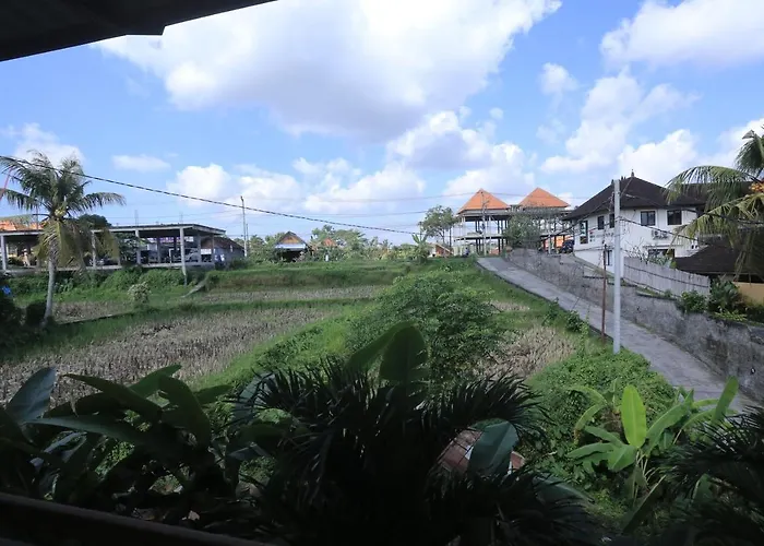 Tiying Ampel